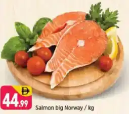 Shaklan Salmon big Norway offer
