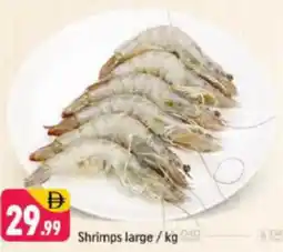 Shaklan Shrimps large offer