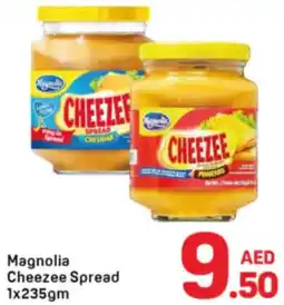 Day To Day Magnolia Cheezee Spread offer