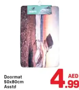 Day To Day Doormat Asstd offer