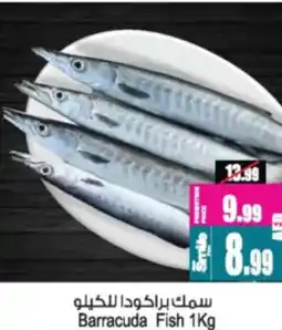 Ansar Mall Barracuda Fish offer