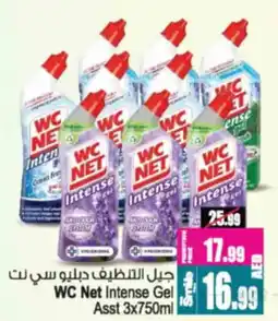 Ansar Mall WC Net Intense Gel offer