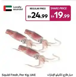 Carrefour Squid Fresh offer