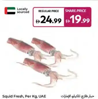 Carrefour Squid Fresh offer