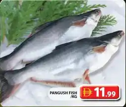 Grand Hyper Market Pangush fish offer