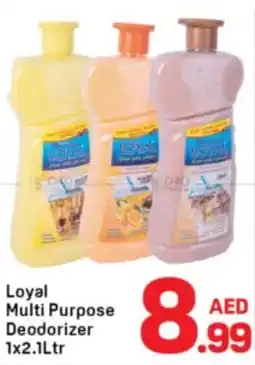 Day To Day Loyal Multi Purpose Deodorizer offer