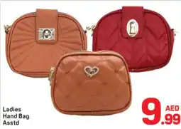 Day To Day Ladies Hand Bag offer