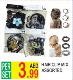 Dream Land Center Hair clip mix assorted offer