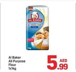 Day To Day Al baker all purpose flour offer