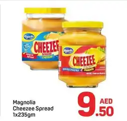 Day To Day Magnolia cheezee spread offer