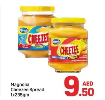 Day To Day Magnolia cheezee spread offer
