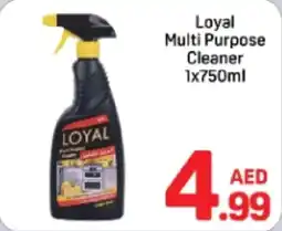 Day To Day Loyal multi purpose cleaner offer