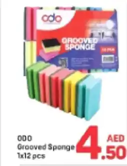 Day To Day ODO Grooved Sponge offer
