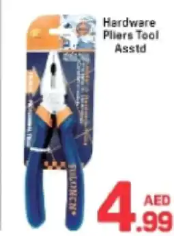 Day To Day Hardware Pliers Tool Asstd offer