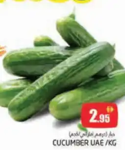 Pasons Cucumber offer