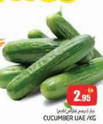 Pasons Cucumber offer