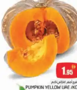 Pasons Pumpkin offer