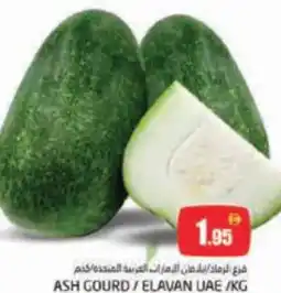 Pasons Ash gourd / elavan offer