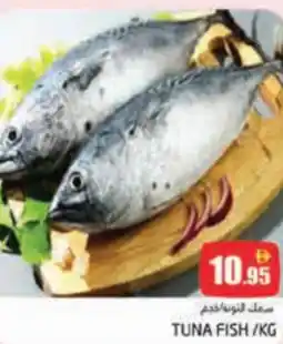 Pasons Tuna fish offer