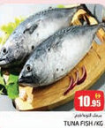 Pasons Tuna fish offer