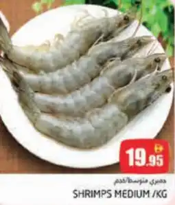 Pasons Shrimps medium offer