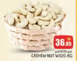 Pasons Cashew nut w320 offer