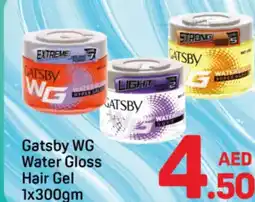 Day To Day Gatsby WG Water Gloss Hair Gel offer