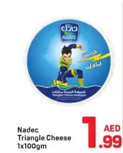 Day To Day Nadec triangle cheese offer
