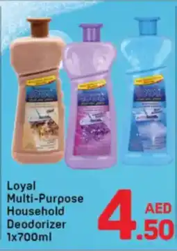 Day To Day Loyal Multi-Purpose Household Deodorizer offer