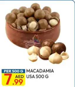Dream Land Center Macadamia USA offer