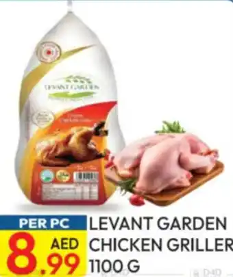Dream Land Center Levant garden chicken griller offer