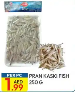 Dream Land Center Pran kaski fish offer