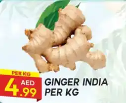 Dream Land Center Ginger offer