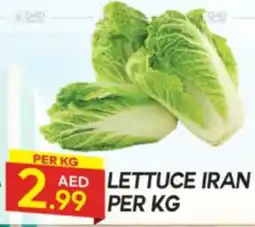 Dream Land Center Lettuce offer