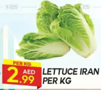 Dream Land Center Lettuce offer