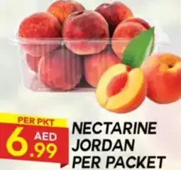 Dream Land Center Nectarine offer