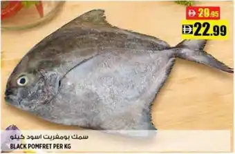 Hashim Hypermarket Black pomfret offer