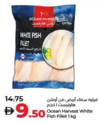Lulu Hypermarket Ocean Harvest White Fish Fillet offer