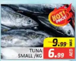 Al Madina Hypermarket Tuna small offer