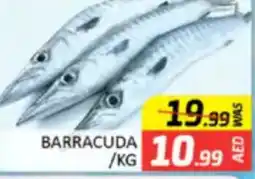 Al Madina Hypermarket Barracuda offer