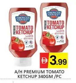 Mango Hypermarket LLC AMERICAN HARVEST Tomato Ketchup offer