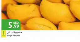 Istanbul Supermarket Mango Mangoes offer