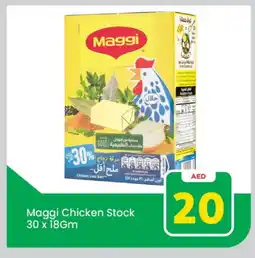 Mark & Save MAGGI Chicken Cubes offer