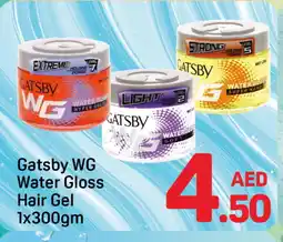 Day To Day gatsby Hair Gel & Spray offer