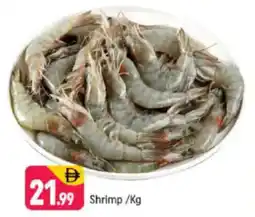 Shaklan Shrimp offer