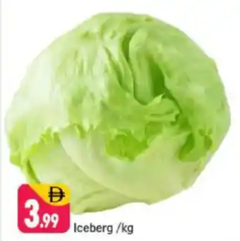 Shaklan Iceberg offer