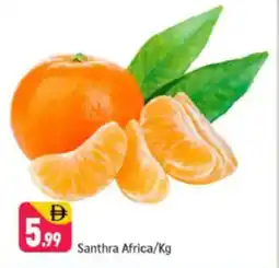 Shaklan Santhra Africa offer