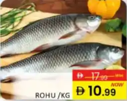 Al Madina Hypermarket Rohu offer