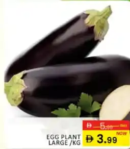 Al Madina Hypermarket Eggplant large offer