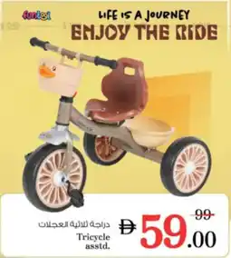 Nesto Tricycle asstd. offer